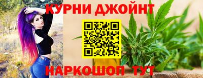 индика Брянск