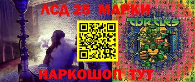 индика Брянск