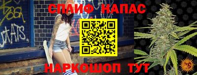 индика Брянск
