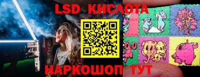 стаф Братск