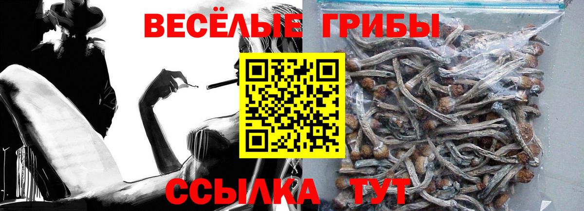 Псилоцибиновые грибы Magic Shrooms Верхняя Пышма