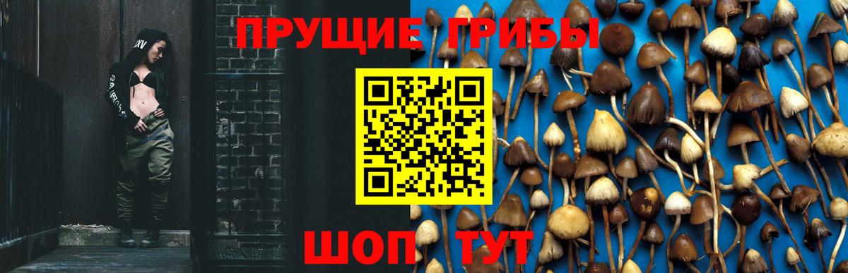 Верхняя Пышма  Псилоцибиновые грибы GOLDEN TEACHER  Вход с VPN 